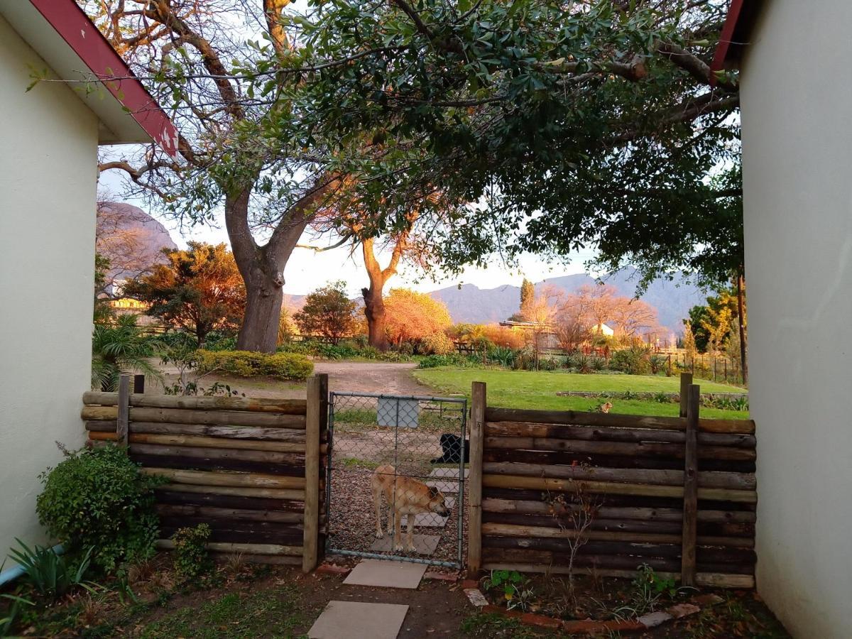 Olive And Vine Farm Cottage Franschhoek Exteriér fotografie
