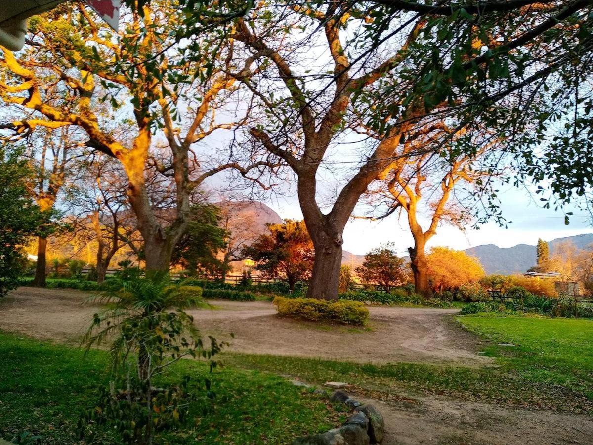 Olive And Vine Farm Cottage Franschhoek Exteriér fotografie