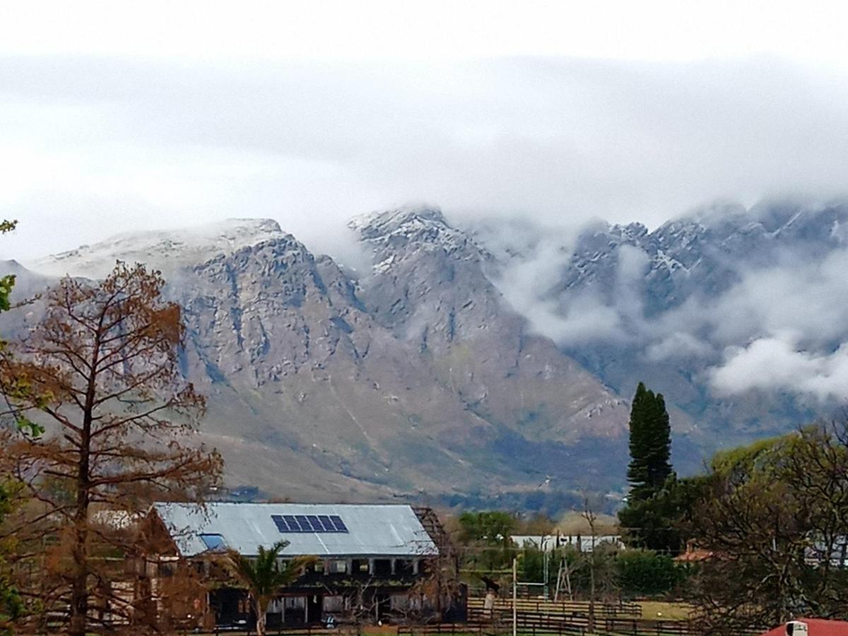 Olive And Vine Farm Cottage Franschhoek Exteriér fotografie