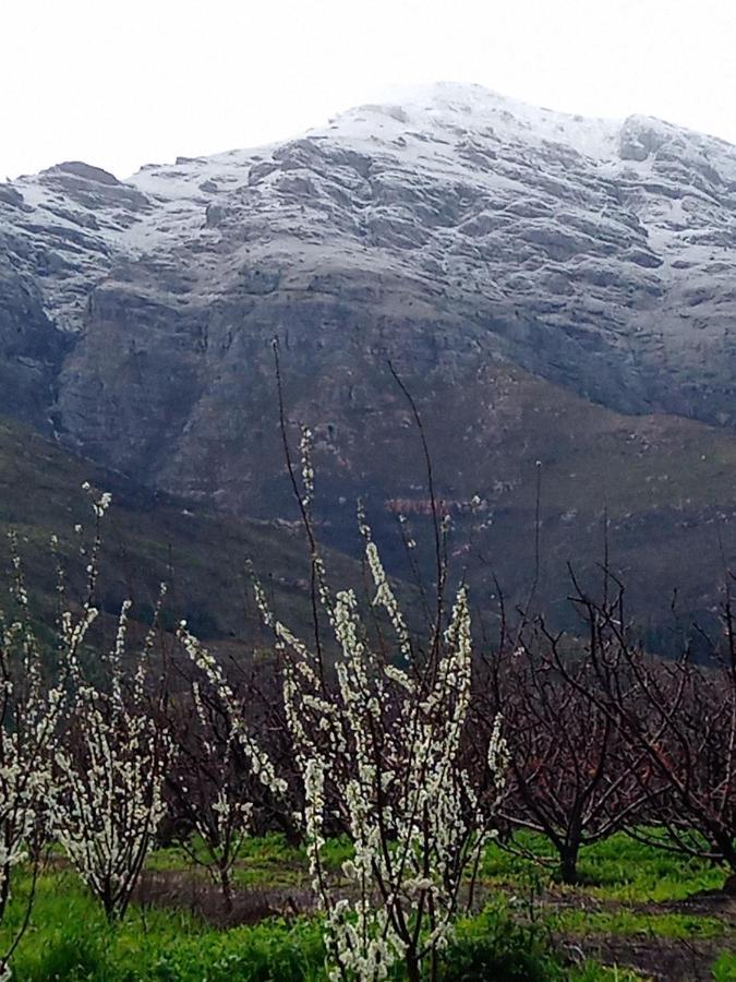 Olive And Vine Farm Cottage Franschhoek Exteriér fotografie
