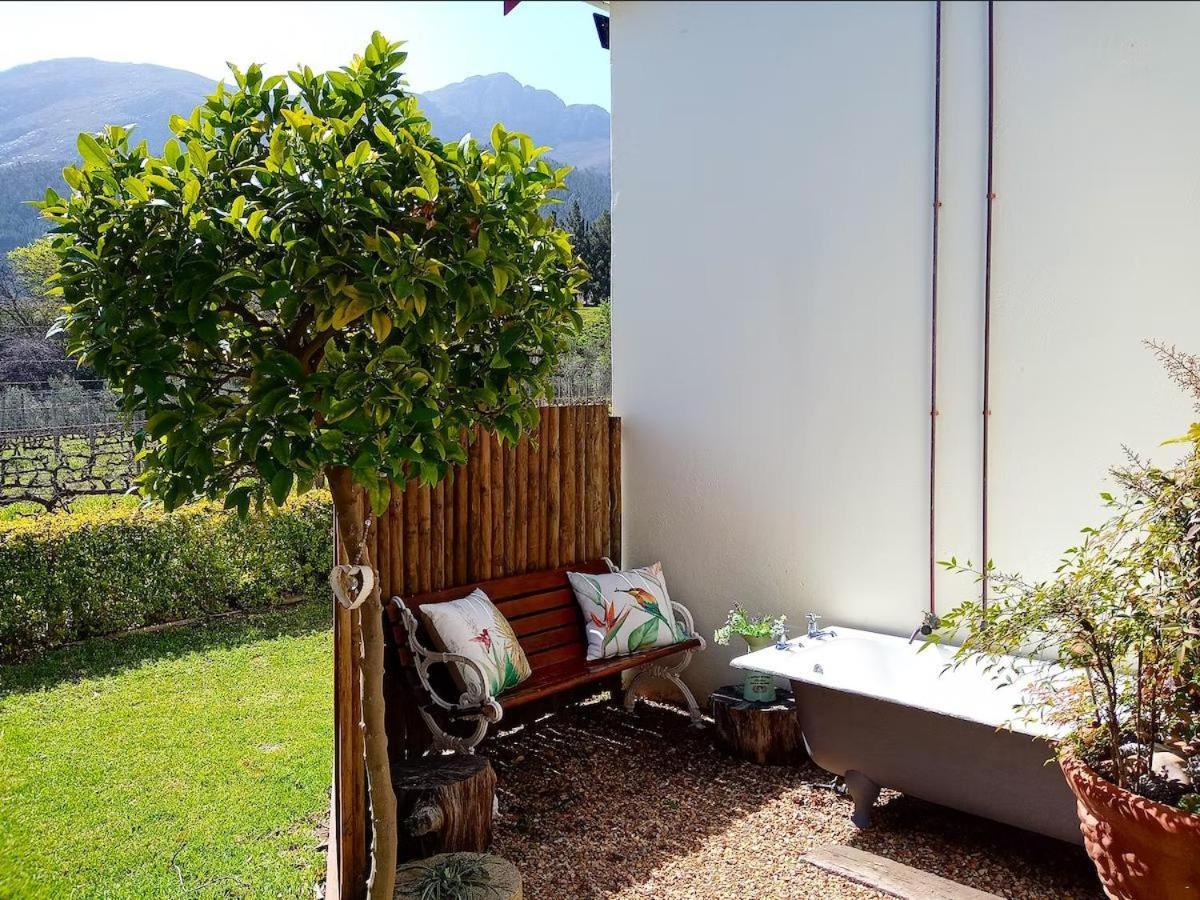 Olive And Vine Farm Cottage Franschhoek Pokoj fotografie